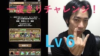 パズドラ　一度きりチャレンジダンジョン！「初見ノーコンｌｖ６」ソニアグランPT