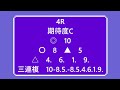 佐賀競馬全レース予想　２月１９日　ウマライフ