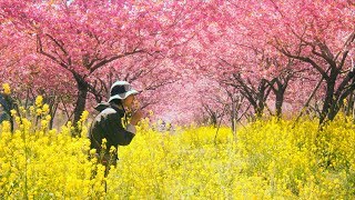 일본원정 캠핑/백패킹 2편(2편이 늦은이유)