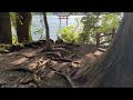 超開運🐲【自分開き✨】箱根九頭龍神社本宮⛩️