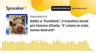 Addio a “Pumbino”, il maialino social più famoso d’Italia. “E’ volato in cielo, siamo distrutti”