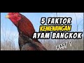 TIPS TRIK MEMILIH AYAMM YANG BAGUSS DAN BERKUALIITAS (BIBITT UNGGULL)|| 5 faktor kemenangan