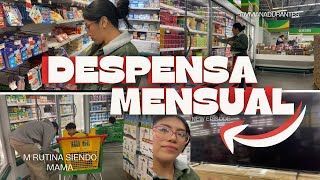 COMPRANDO UNA MINI DESPENSA MENSUAL✨✨