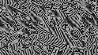 Reaction Diffusion Simulation in 4k