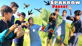 Boht nayab parrots pakar liye aj🦜//Nyab birds  pakar liye 🐦‍⬛#viralvideo #vlog