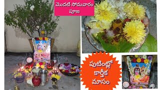 పుట్టి ఇంట్లో  కార్తీక మాసపు మొదటి సోమవారం పూజ||Pallavi telugu vlogs