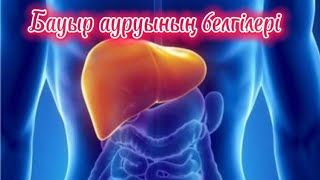 Бауыр ауруының белгілері. Тез көріңіздер