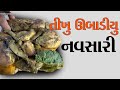 ઉબાંડિયુ નવસારી ફસ્ટ તીખું ઉબાડિયું Healty Umbadiyu નવસારી પ્રખ્યાત ઉબાડિયું કમલેશ મોદી