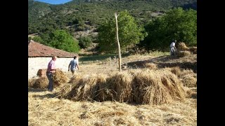 Παναγιώτη Αθ. Τσιακούλια: \