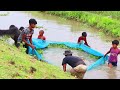 best net fishing video amazing traditional net fishing video by village people fishing village