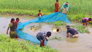 Best net fishing video - Amazing traditional net fishing video by village people - Fishing village