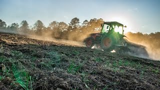 Food Plots for Doves and Turkey: 