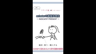 フランス語動詞acheter【買う・購入する】の活用発音するよ！ #shorts