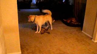 DSCF0045.AVI