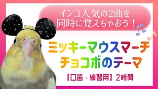 【2時間】Mickey Mouse March \u0026 Final Fantasy (Chocobo)☺️💕whistle training✨ミッキー\u0026チョコボ✨️インコちゃんの口笛練習用にどうぞ🐤💕