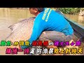 鯽魚+胖頭魚+龍鳳鯉的雜交混合體，捕獲一條足夠漁民吃上好幾天，你們吃過嗎《活在當下》