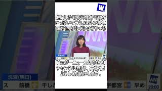 【檜山沙耶】茨城弁で頭がいっぱいでそれ以外の事に頭が回らなくなるさやっち【ウェザーニュース切り抜き】（その１）#Shorts