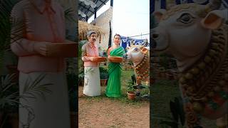 #godarigattu #village #trending #telugu #sankranthi #festival #victoryvenkatesh #ramanagogula #music