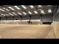 Jade and Star Cruising. Novice dressage to music freestyle practice. Music by Equidance