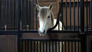 Perks Family Equine Center officially open at Lockwood Park in Rockford