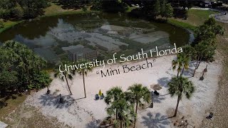 Aerial Tour Castor Beach |University of South Florida| USF, Tampa, Florida| Drone Shots, 4K