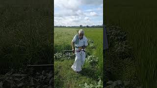 தனக்கு உணவு இல்லாவிட்டாலும் ..   மற்றவர்க்கு ...உணவு கொடுக்க உழைப்பவன்   விவசாயி   #vevasayam.