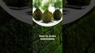 GARDEN ART | How to make Kokedama | Moss Ball | Japanese technique #moss #plants #gardening #art