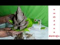 how to make lord ganesh in telugu మట్టి గణపతి lord ganapathi vinayakudu @talentcalls