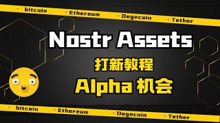 比特币生态Nostr Assets教程,潜在Alpha机会？Fair launch+闪电网络叙事 | 什么是Nostr协议？| Nostr Assets是什么？#nostr中文教程 #闪电网络