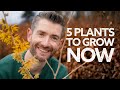 What to Plant in February | Not Your Usual What to Sow & Grow Video!