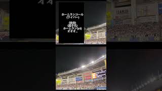 【パワー!!!】ホームランコール(ワイパー)ポランコ選手ver. #chibalotte #応援歌 #プロ野球 #ポランコ