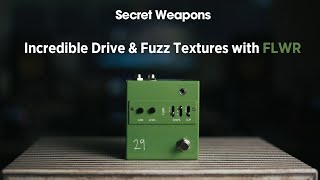 29 Pedals FLWR Overdrive \u0026 Fuzz | Secret Weapons Demo \u0026 Review