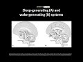 10911【專家開講】成大醫院神經內科 洪煒斌醫師_sleep and epilepsy