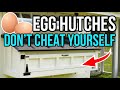 Egg hutches - watch before building yours!