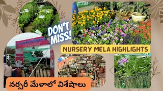 నర్సరీ మేళాలో కొన్ని విశేషాలు  | Nursery Mela August 23 highlights