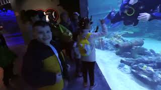 Magic Aquarium Uzbekistan Tashkent