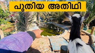 ഇവന്റെ ഒരു കുറവും കൂടെ ഉണ്ടായിരുന്നുള്ളൂ | New pet in my park | حيوان أليف جديد في حديقتي