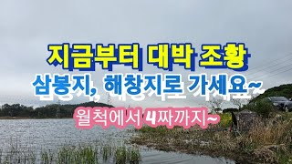 지금부터 나오는곳 삼봉지,해창지 출조하세요