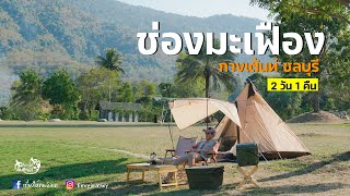 Chong Mafueng Camping  -ช่องมะเฟือง แคมป์ปิ้ง ลานกางเต็นท์ชลบุรี EP. 113 l เที่ยวให้คนอิจฉา