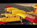 livestream first look at the asobo canadair cl 415 pelican in microsoft flight simulator 2020