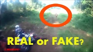 Small human-like creature is spotted scurrying from bushes in Indonesia Real or FAKE?