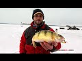 Jumbo Perch on Ice