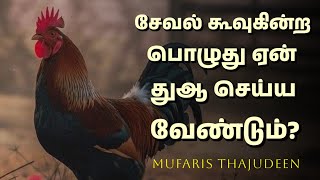 சேவல் கூவுகின்ற பொழுது ஏன் துஆ செய்ய வேண்டும்? | Mufaris Thajudeen Rashadi | Tamil Bayan