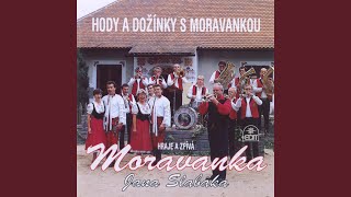 Nětčická