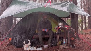 Camping in Rain with Bushcraft
