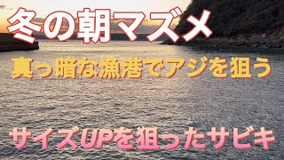 朝マズメ２時間、暗い漁港で投げサビキ