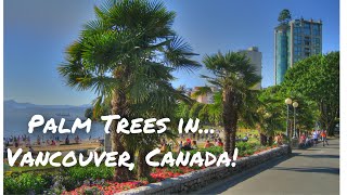 🇨🇦 Palm Trees in...Vancouver, Canada!!!