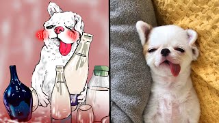 Cat Memes: Funny Videos With Cats And Dogs