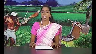 Pon Vilaiyum Bhoomi 03/01/2017