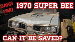 I Drove 4,000 Miles to Buy My Dream Car | FORGOTTEN 1970 Dodge Super Bee